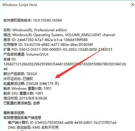 怎样查看Win11是否永久激活?
